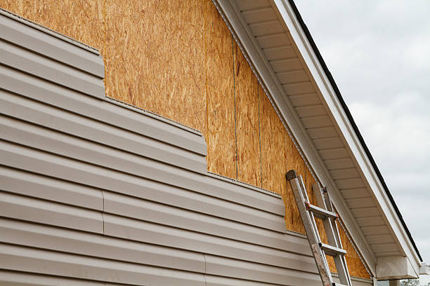 24/7 Emergency Siding Replacement experts in Lake Helen, FL